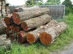 Holz im SÃ¤gewerk